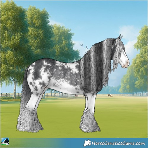Horse Color:White Spotted Black Splash Rabicano 