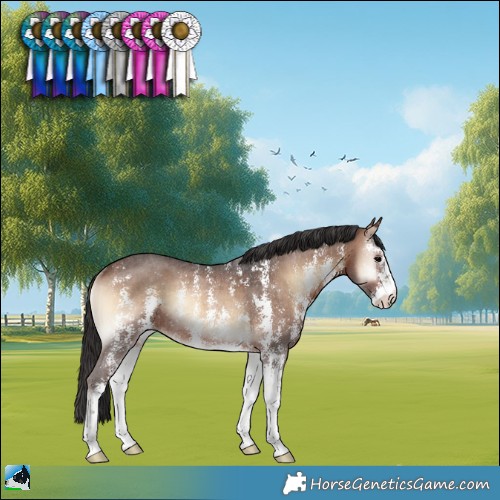Horse Color:Brown Onyx Sabino Rabicano 