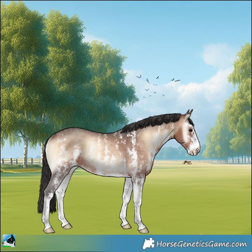 Horse Color:Brown Onyx Sabino Rabicano