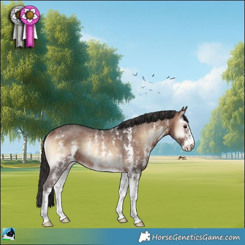 Horse Color:Brown Onyx Sabino Rabicano 