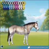 Horse Color:Brown Onyx Sabino Rabicano