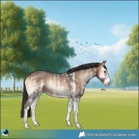 Horse Color:Brown Onyx Sabino Rabicano 