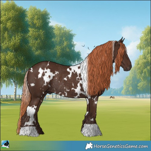 Horse Color:White Spotted Liver Chestnut Rabicano 
