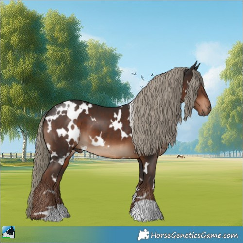 Horse Color:White Spotted Liver Chestnut 