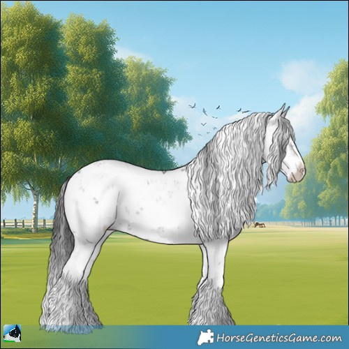 Horse Color:Black Sabino 