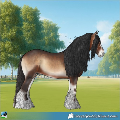 Horse Color:Bay Onyx 