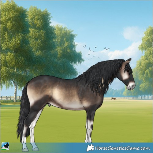 Horse Color:Brown Onyx Rabicano 