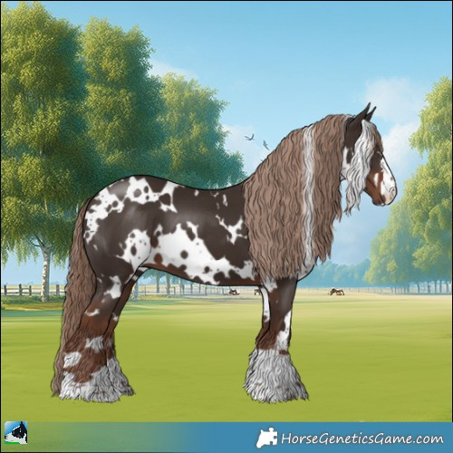 Horse Color:White Spotted Liver Chestnut 