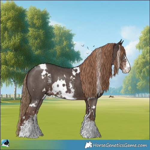 Horse Color:White Spotted Liver Chestnut Sabino 