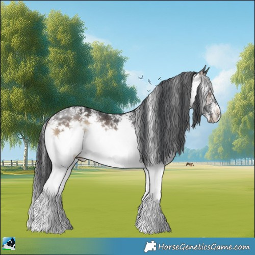 Horse Color:White Spotted Brown Onyx Rabicano 
