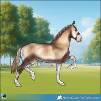 Horse Color:Liver Red Onyx Rabicano
