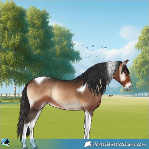 Horse Color:Bay Onyx Tobiano Rabicano 