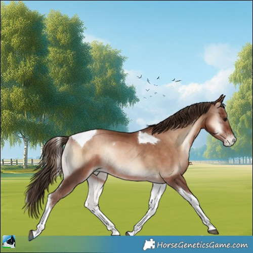 Horse Color:Brown Pearl Onyx Tobiano Rabicano 