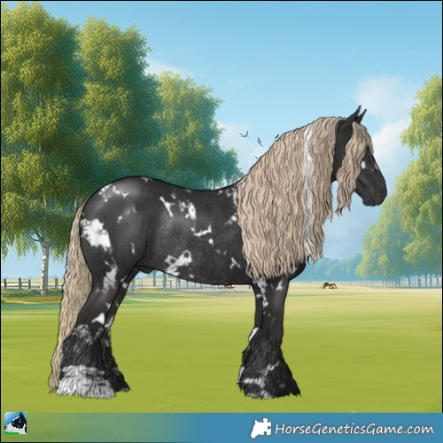 Horse Color:White Spotted Liver Chestnut Rabicano 