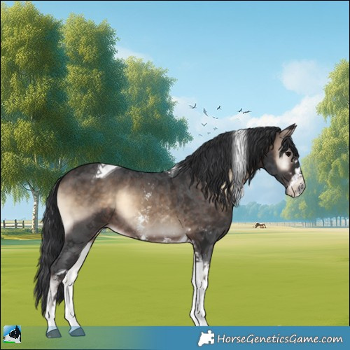 Horse Color:Brown Onyx Sabino Tobiano Rabicano 
