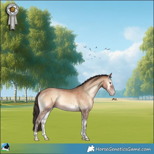 Horse Color:Sable Champagne Onyx 