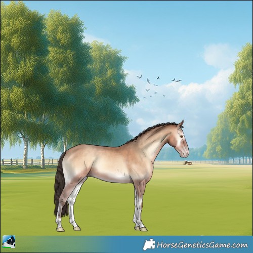 Horse Color:Sable Champagne Onyx 