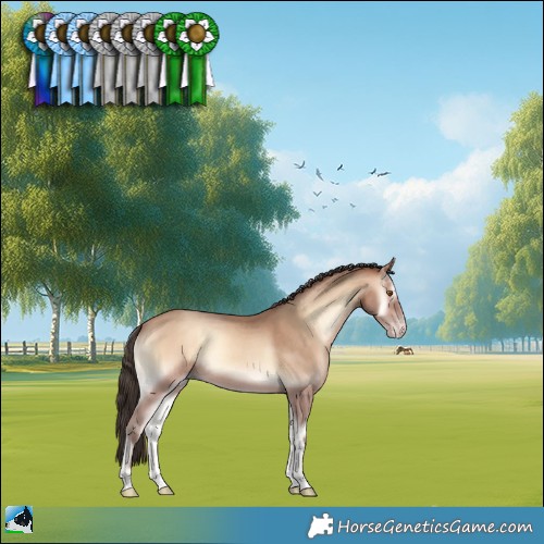 Horse Color:Sable Champagne Onyx