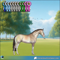 Horse Color:Sable Champagne Onyx 