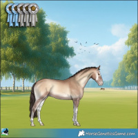 Horse Color:Sable Champagne Onyx 
