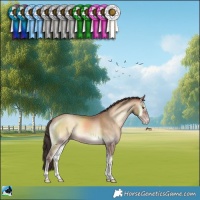 Horse Color:Sable Champagne Onyx 