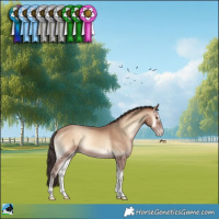 Horse Color:Sable Champagne Onyx