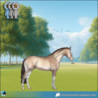 Horse Color:Sable Champagne Onyx 