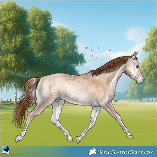 Horse Color:Bay Ice Pearl Onyx Rabicano 