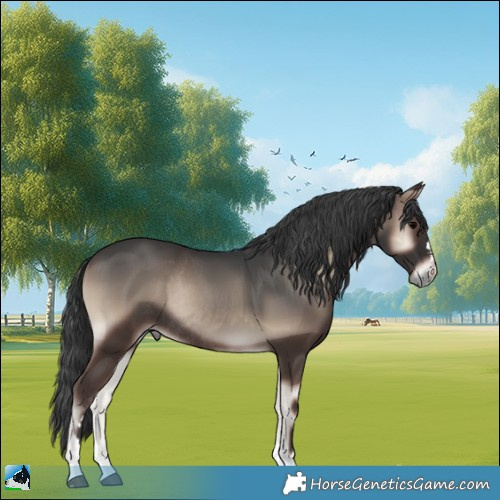 Horse Color:Blue Onyx Rabicano 