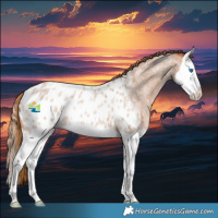Horse Color:Red Roan Splash Blanket 