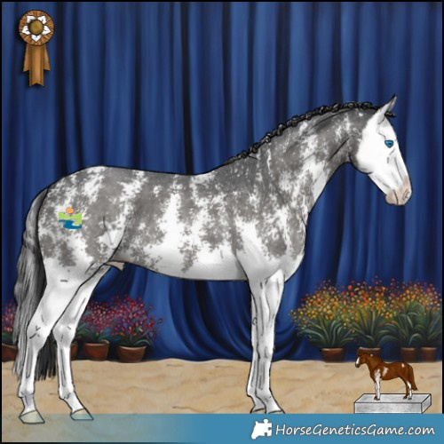 Horse Color:Black Sabino Splash 