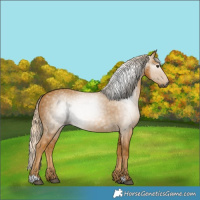 Horse Color:Gray Palomino 