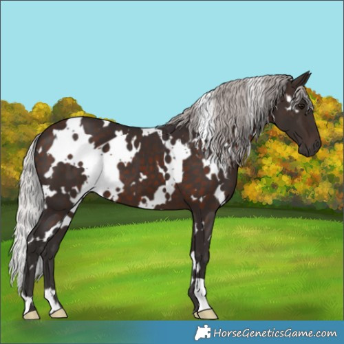 Horse Color:White Spotted Silver Brown 
