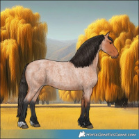 Horse Color:Bay Roan 