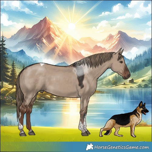 Horse Color:Liver Red Dun Tobiano 