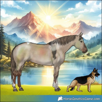 Horse Color:Liver Red Dun Tobiano