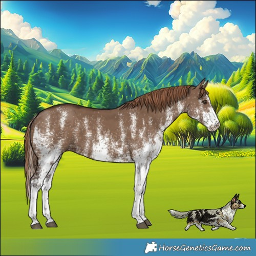 Horse Color:White Spotted Liver Red Dun 