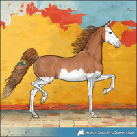 Horse Color:Chestnut Splash Rabicano 