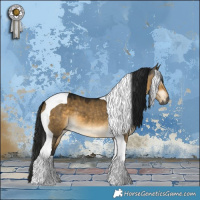 Horse Color:Gray Buckskin Dun Tobiano 