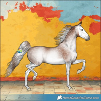 Horse Color:Gray Chestnut Splash Rabicano 
