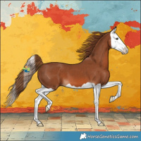 Horse Color:Chestnut Splash 