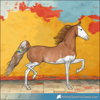 Horse Color:Chestnut Splash Rabicano 