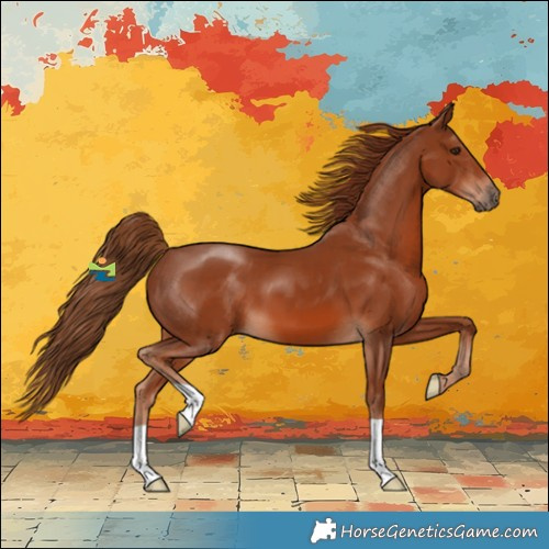 Horse Color:Chestnut 