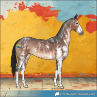 Horse Color:Gray Bay Sabino 