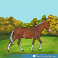Horse Color:Silver Bay