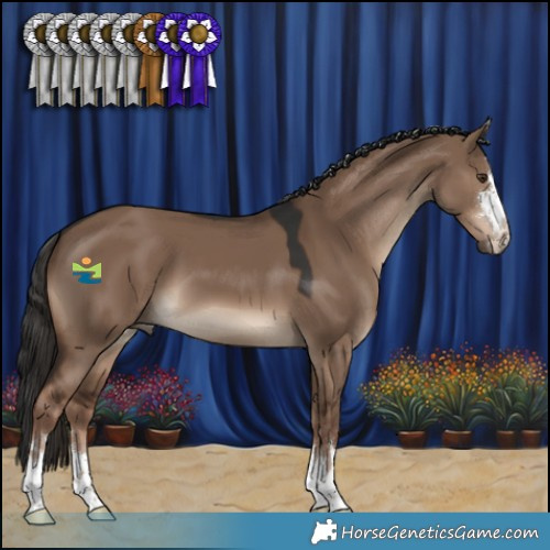 Horse Color:Liver Red Dun 