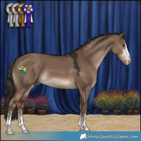 Horse Color:Liver Red Dun 