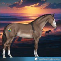 Horse Color:Liver Red Dun