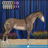 Horse Color:Liver Red Dun 