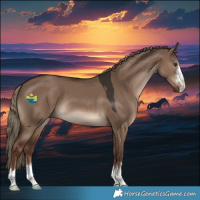 Horse Color:Liver Red Dun 